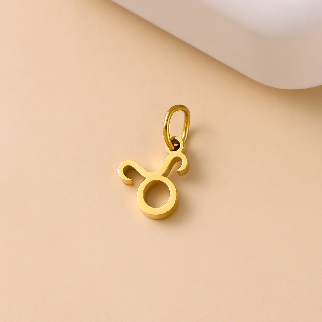 Zodiac sign charms